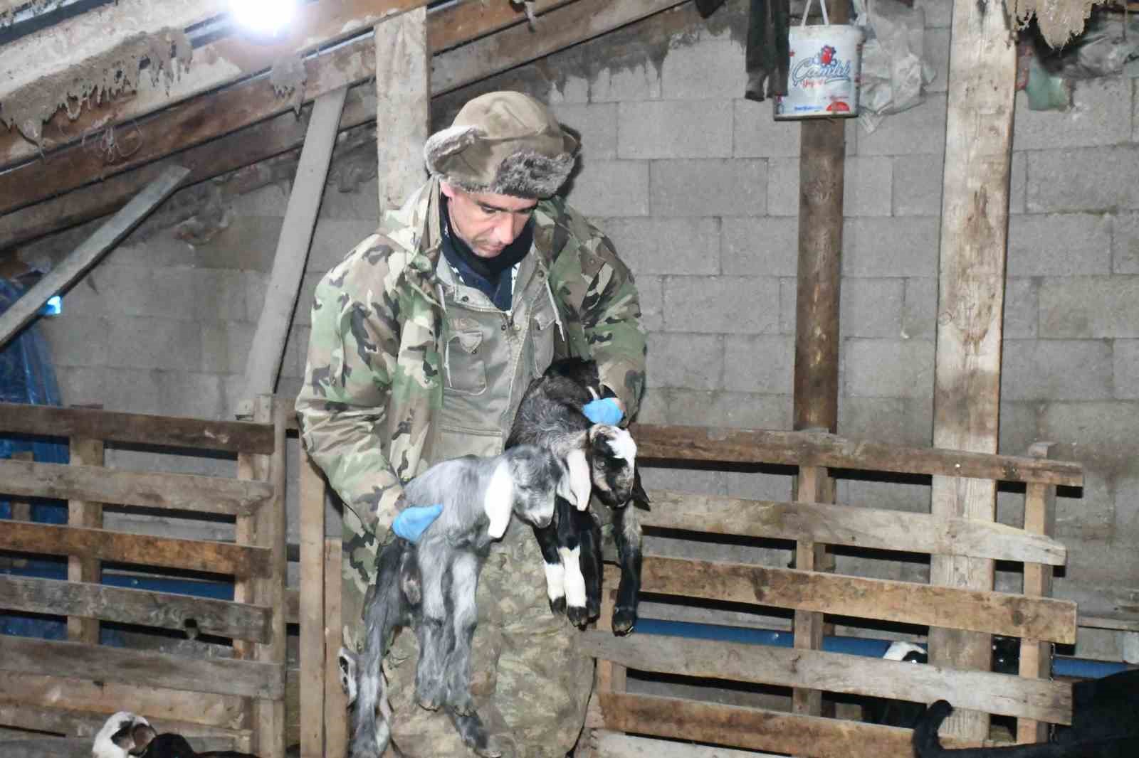 YOZGATLI KEÇİ YETİŞTİRİCİSİ KİREÇLİ YÖNTEMLE HAYVAN KAYIPLARINI ÖNLEDİ