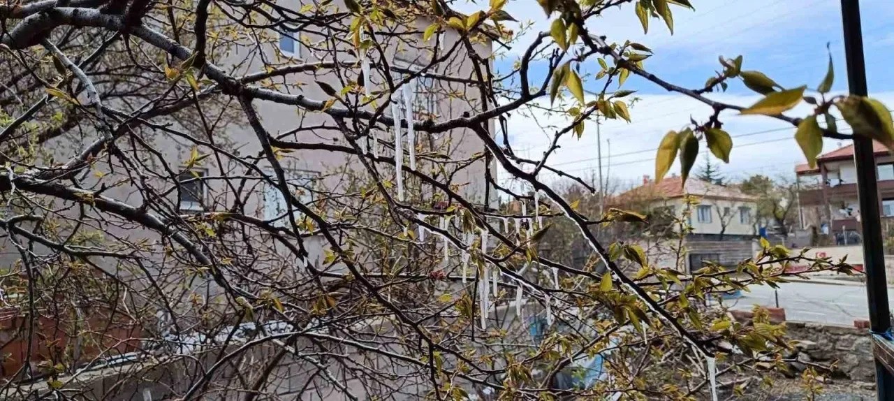 YOZGAT’TA ÇİFTÇİLER ZİRAİ DON TEHLİKESİNE KARŞI UYARILDI 