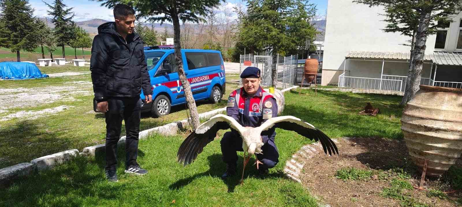 HASTA LEYLEK KORUMA ALTINA ALINDI