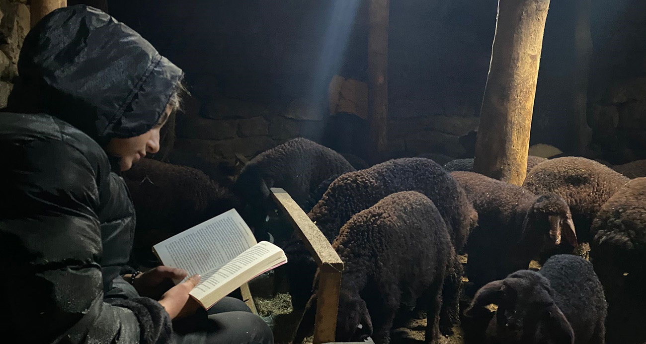 GÜNDÜZ HAYVAN BAKIYOR GECE HAYALLERİ İÇİN ÇALIŞIYOR