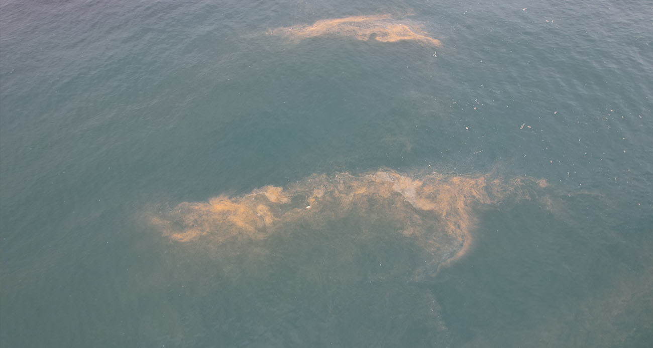 AVCILAR KIYILARINDA TEDİRGİN EDEN GÖRÜNTÜ 