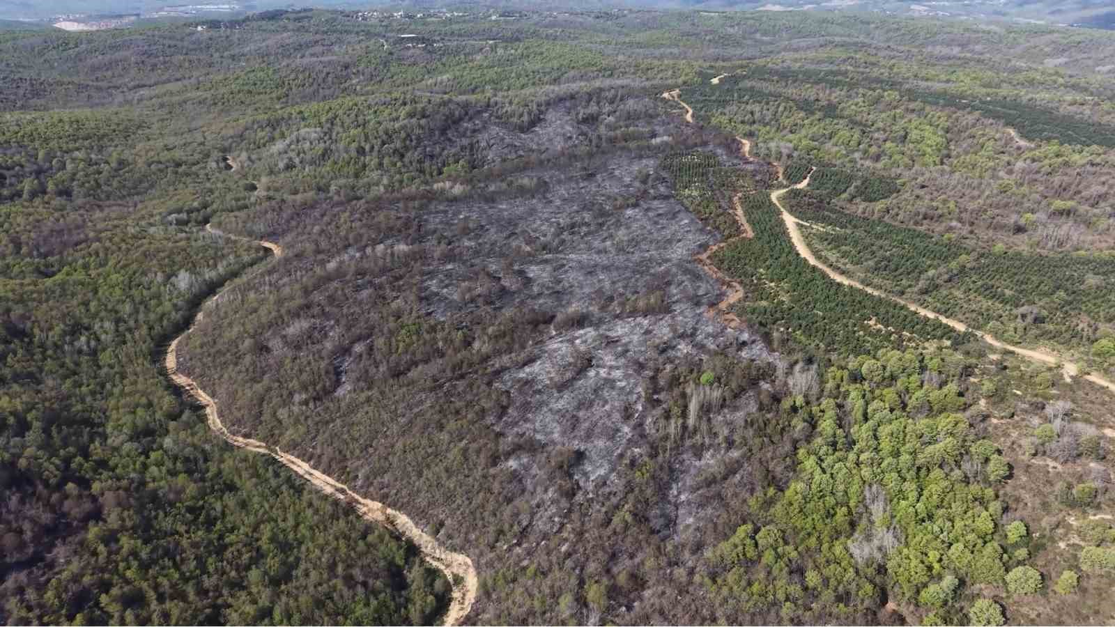 BEYKOZ’DAKİ YANGININ BİLANÇOSU GÜN AĞARINCA ORTAYA ÇIKTI 