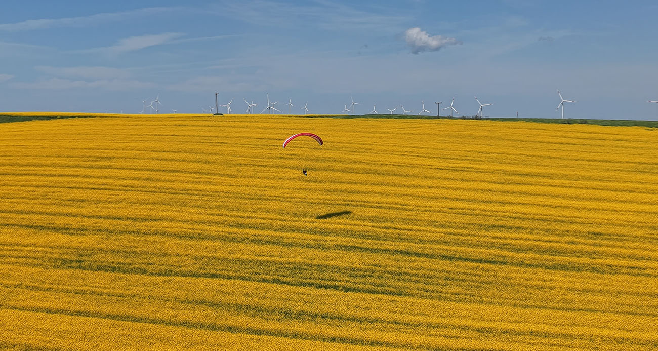 TEKİRDAĞ’DA SARI ŞÖLEN: PARAMOTORLAR SARI TARLALARI GEZDİ 