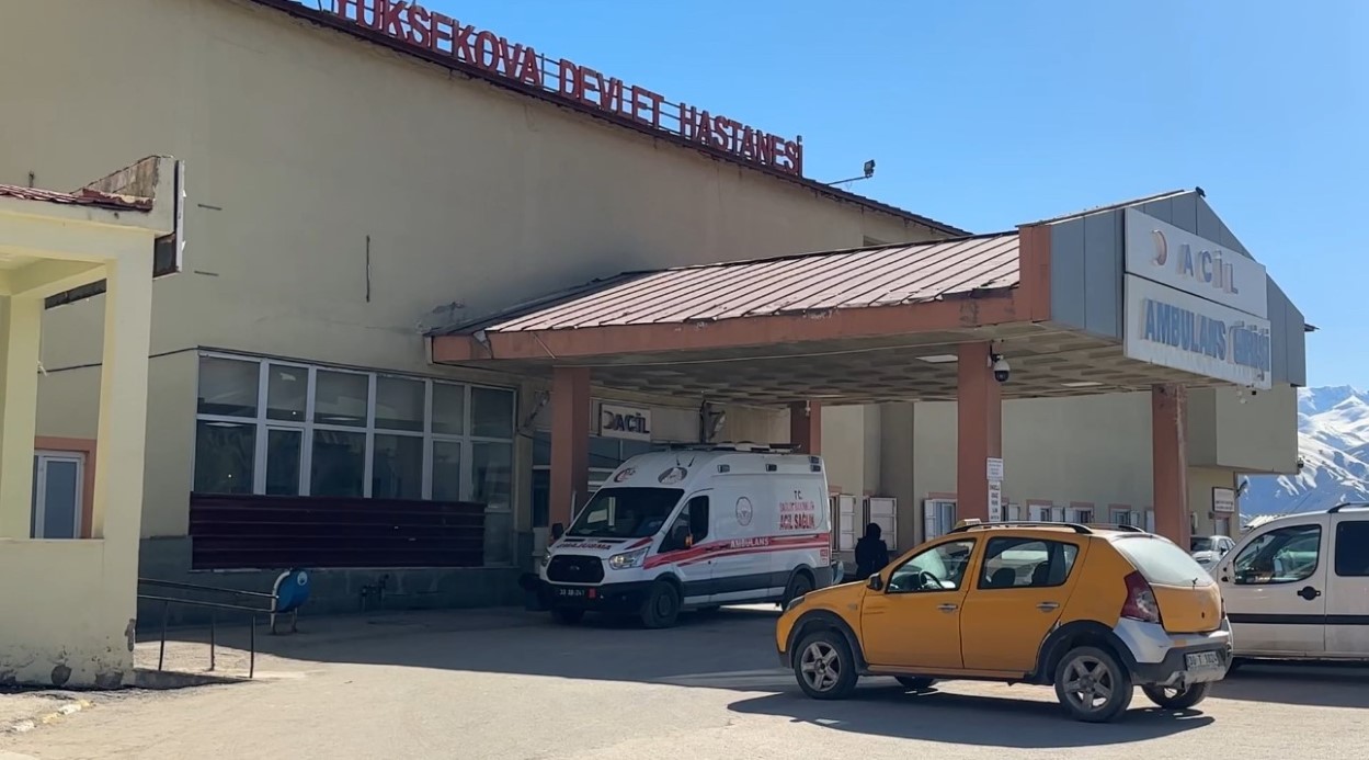 YÜKSEKOVA’DA PATLAMA: 1 ÇOBAN YARALI, 3 KOYUN TELEF OLDU 