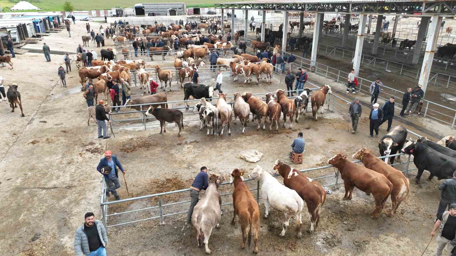 BAYRAMA SAYILI GÜNLER KALA SORGUN CANLI HAYVAN PAZARINDA HAREKETLİLİK YAŞANDI 