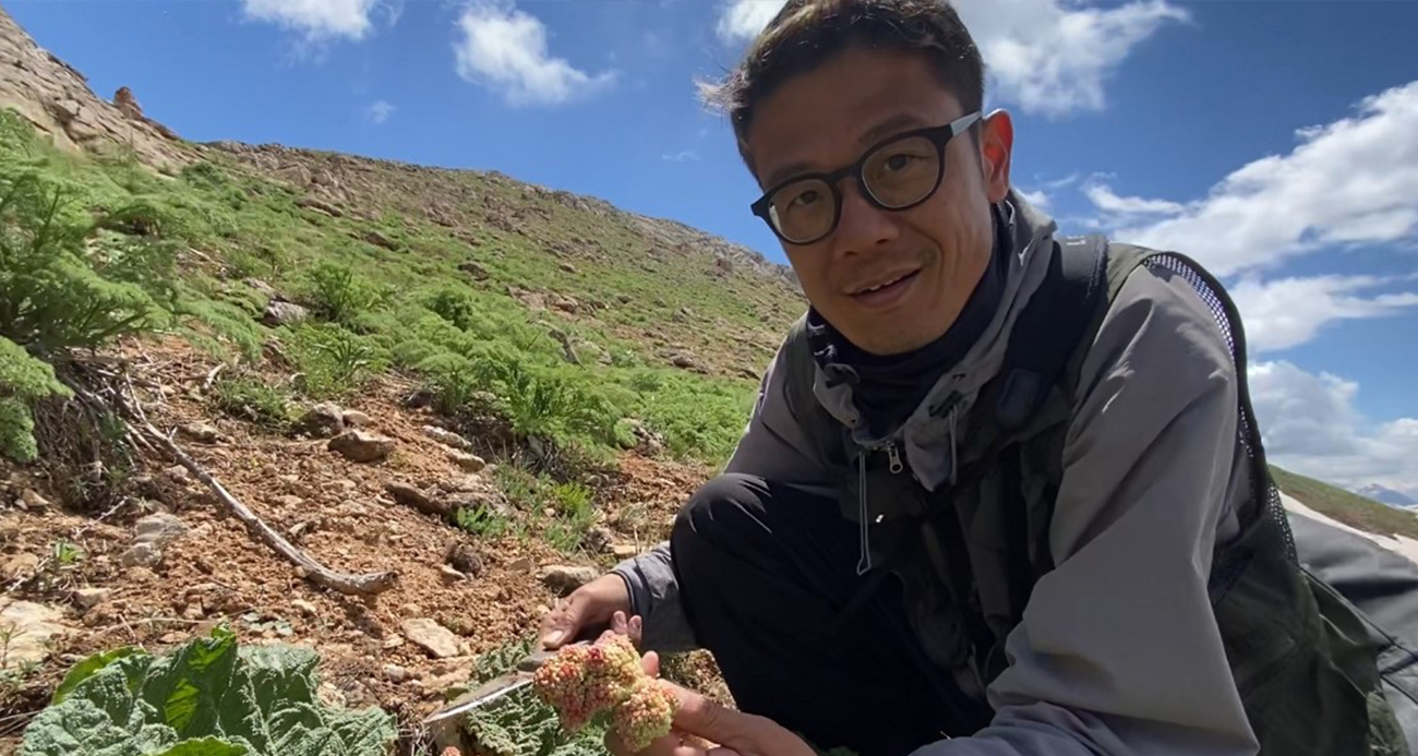 JAPONYA’DAN YÜKSEKOVA’YA UZANAN DOĞA YOLCULUĞU 