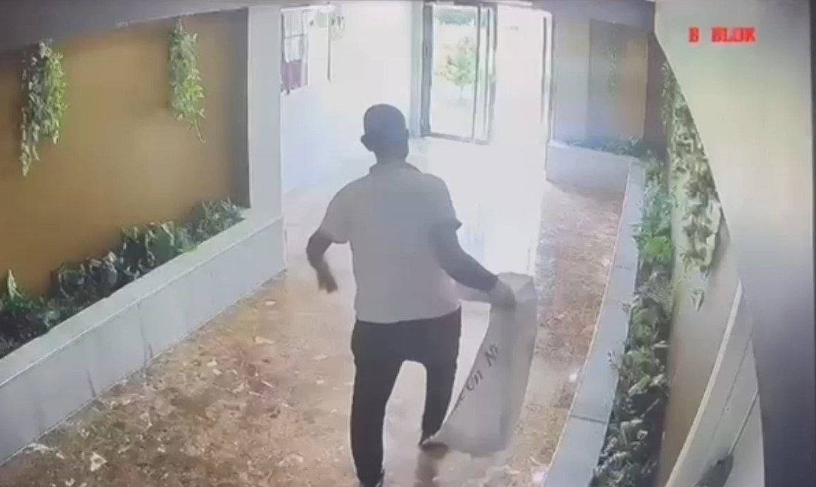 YAVRU KEDİLERİ KAYBOLAN KADIN GÜVENLİK KAMERALARINI İZLEYİNCE GÖZLERİNE İNANAMADI 