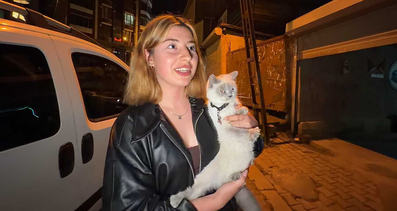 ARNAVUTKÖY’DE CİNS KEDİYİ ÇALDILAR 