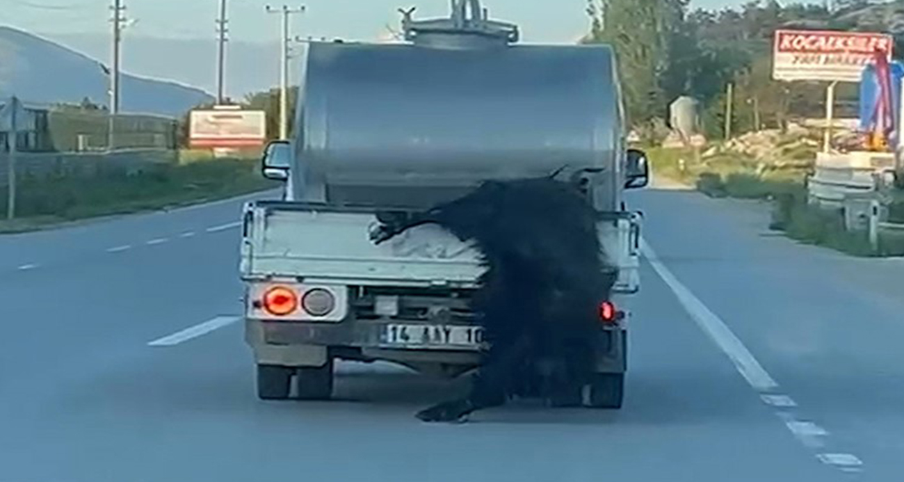 KURBANLIĞI ARAÇTAN SARKITIP KİLOMETRELERCE SÜRÜKLEDİ 