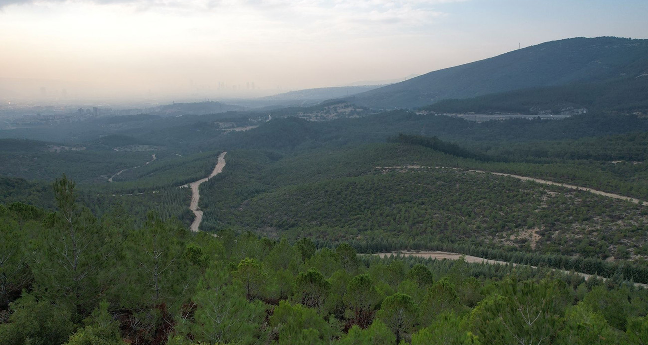 İZMİR’DE ORMANLARA GİRİŞ YASAĞI BAŞLADI