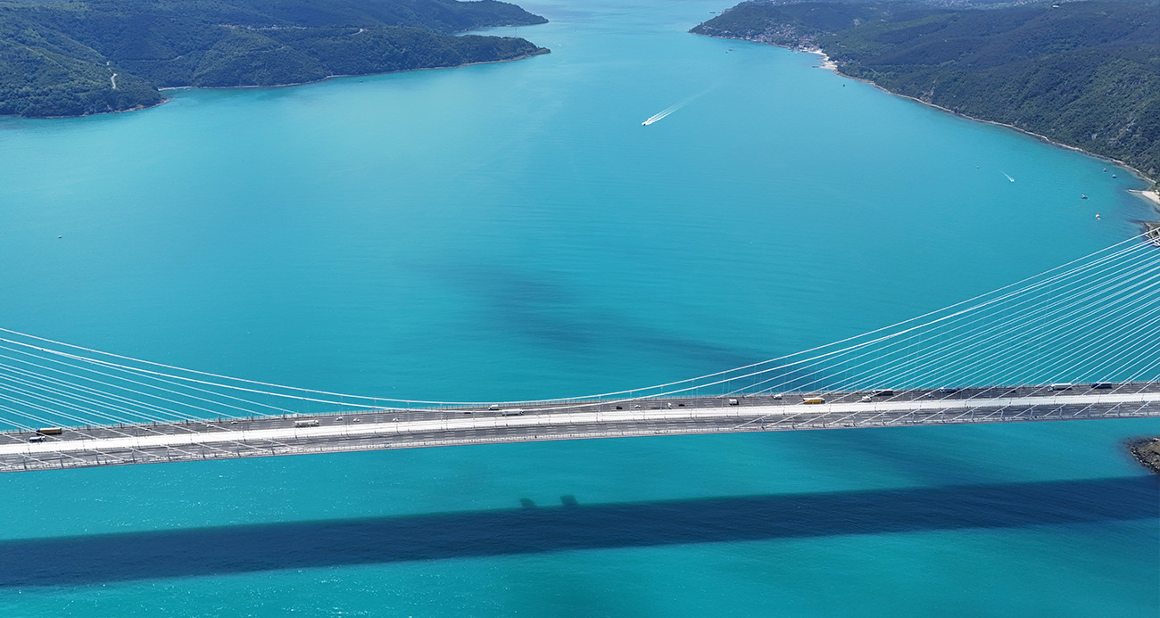 TURKUAZA DÖNEN İSTANBUL BOĞAZINDA YUNUSLAR AKIN ETTİ 