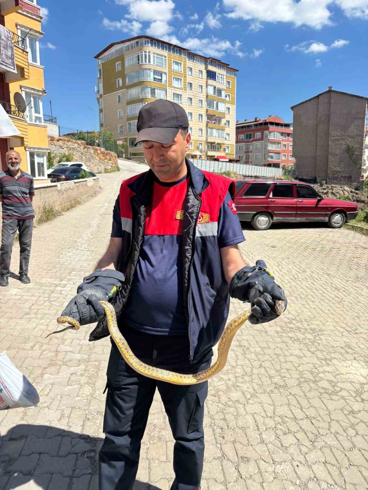 Yozgat’ta otomobile giren yılanı itfaiye ekipleri çıkardı