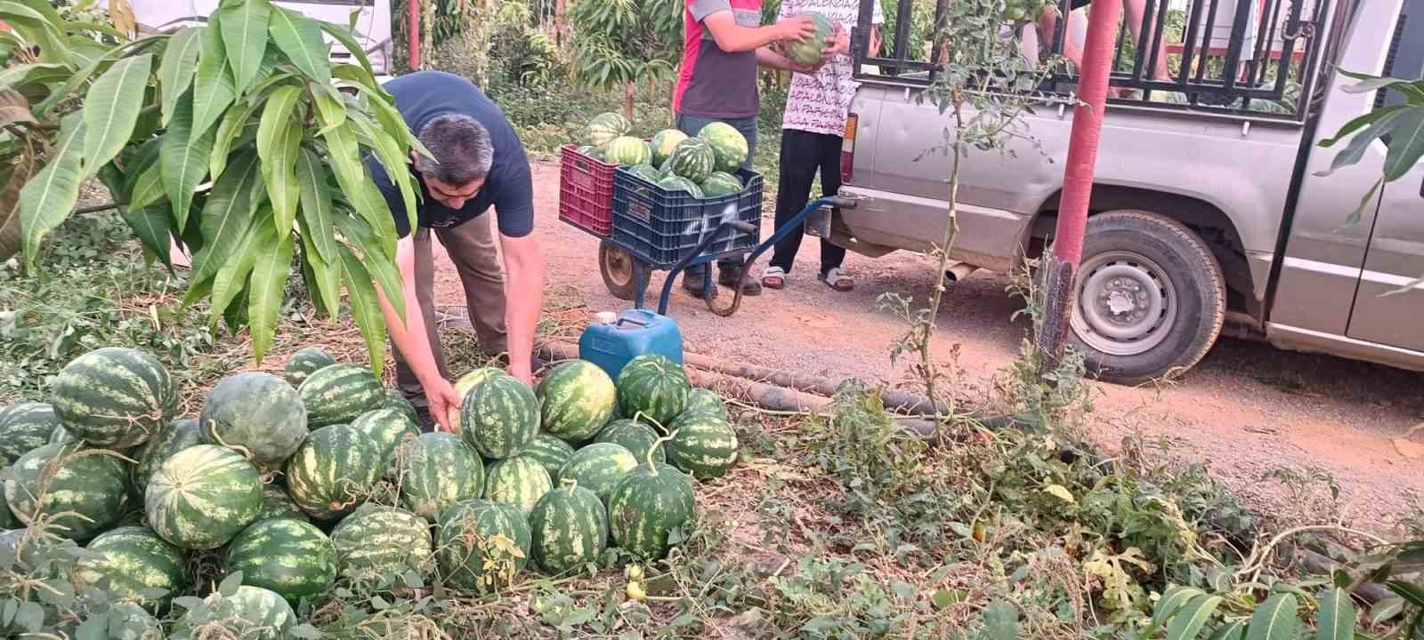 HAYIRSEVER ÇİFTÇİNİN TARLASI BU YIL ÖĞRENCİLERİN İÇİN HASAT EDİLDİ
