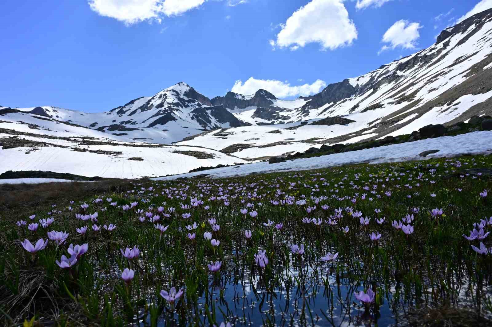 YAZ ORTASINDA KIŞIN HÜKÜM SÜRDÜĞÜ EŞSİZ COĞRAFYA: ARTABEL