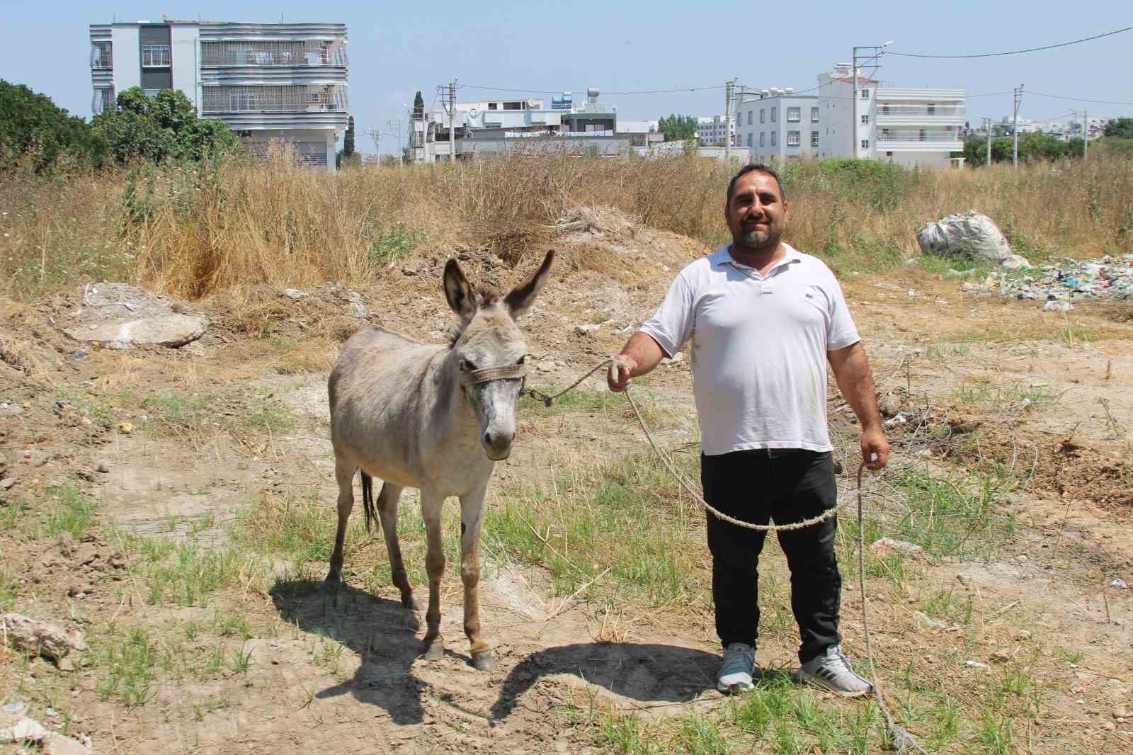 ADANALILAR EŞEKLERİN SAHİBİNİ ARIYOR