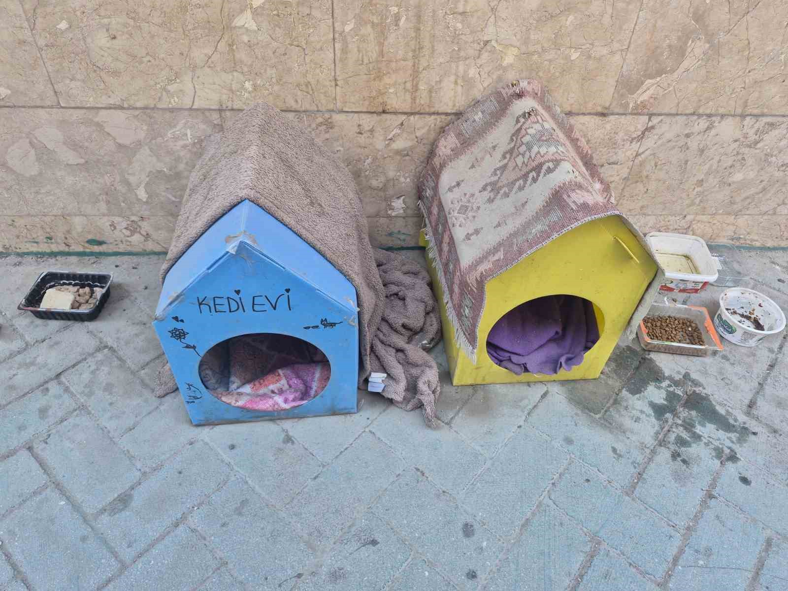 KEDİLER İÇİN YAPTIĞI EVLER İÇİN VİCDANLARA SESLENDİ, "LÜTFEN DOKUNMAYALIM"