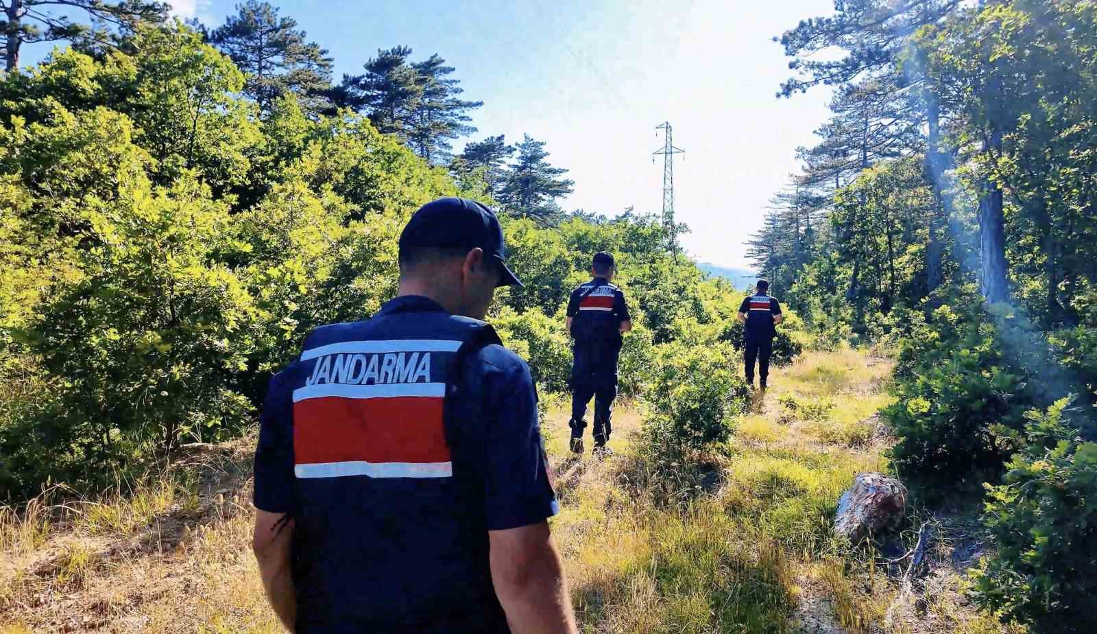 ÇANAKKALE’DE ORMAN YANGINLARINA KARŞI JANDARMA EKİPLERİ SAHADA
