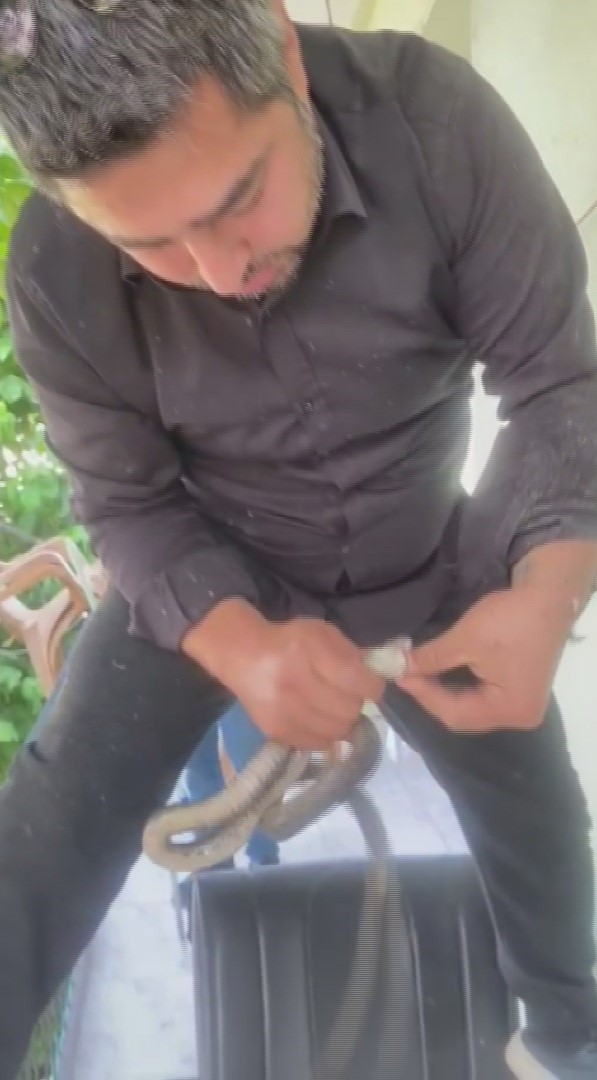 KLİMA ÜNİTESİNİN BORU HATTINDA YAKALADIĞI YILANI "SEVGİLİ YILAN İNSANLARDAN UZAK DUR, YOKSA NE YAPARLAR BİLİYORSUN" DİYEREK DOĞAYA SALDI