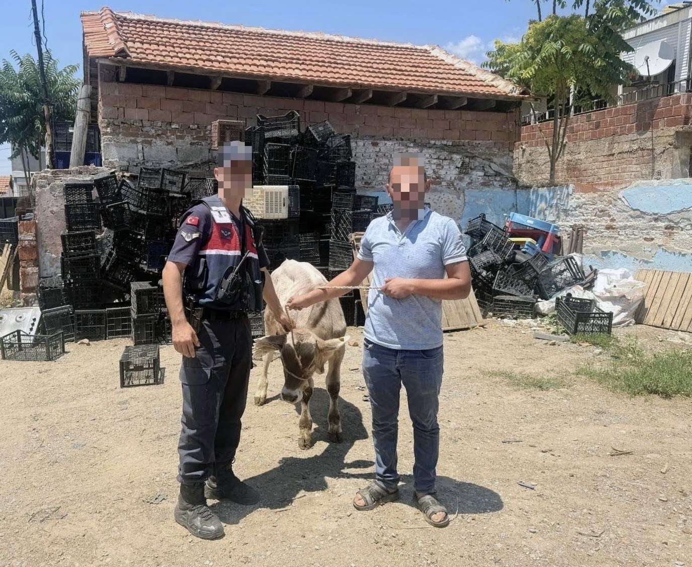 AHIRDAN ÇALINAN BÜYÜKBAŞ HAYVAN BULUNDU