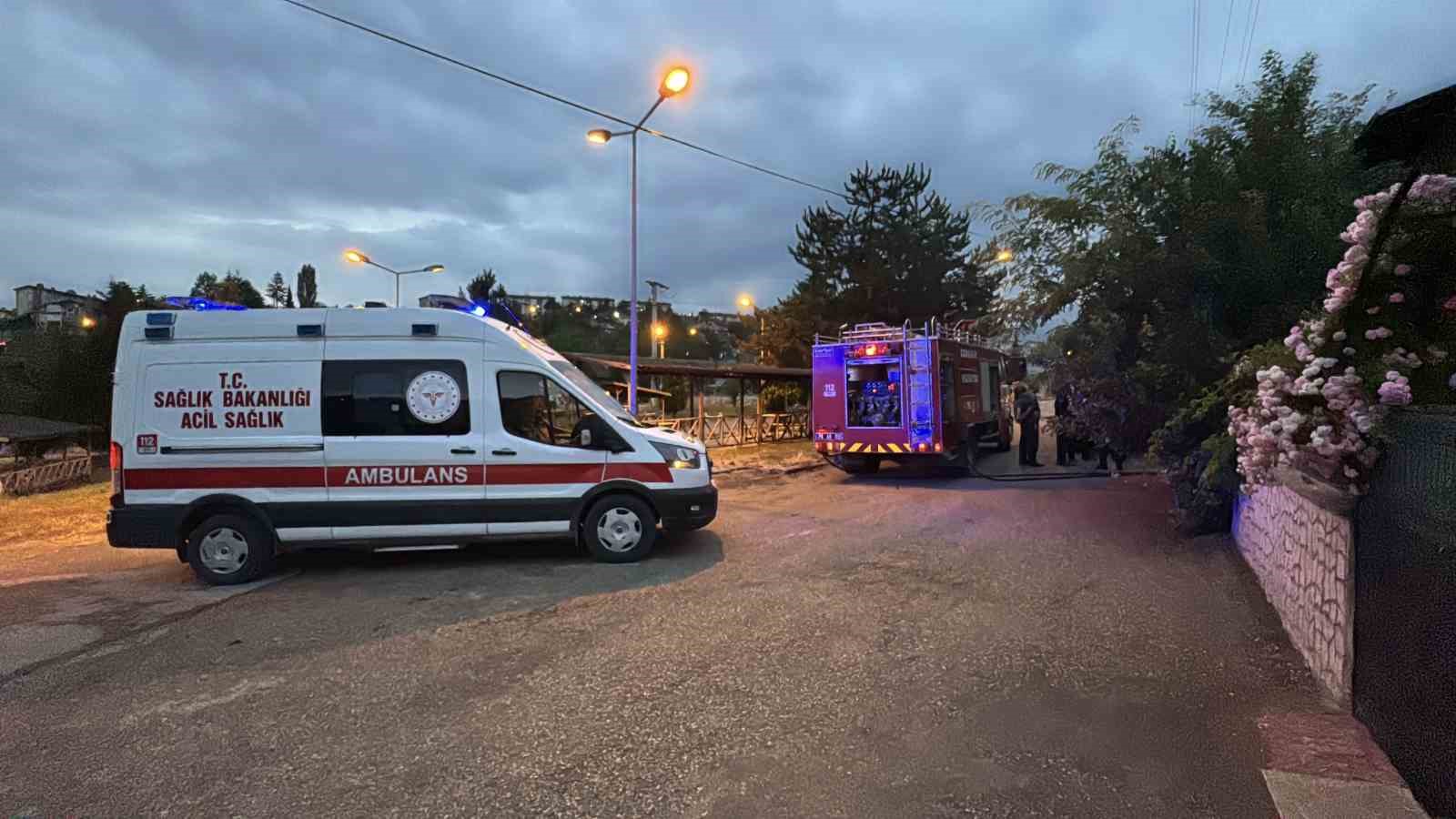 ARDİYEDE ÇIKAN YANGIN EVLERE SIÇRAMADAN SÖNDÜRÜLDÜ