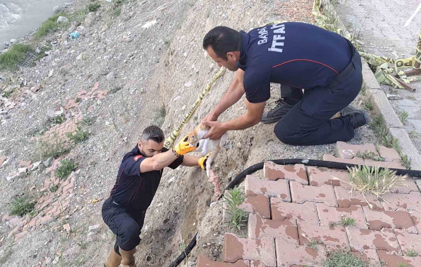 ÇORUM’DA ÇAYA DÜŞEN KEDİYİ İTFAİYE KURTARDI