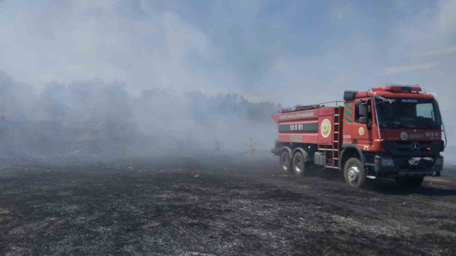 BURHANİYE’DE ÖRTÜ YANGINI ZEYTİNLİKLERE SIÇRAMADAN KONTROL ALTINA ALINDI