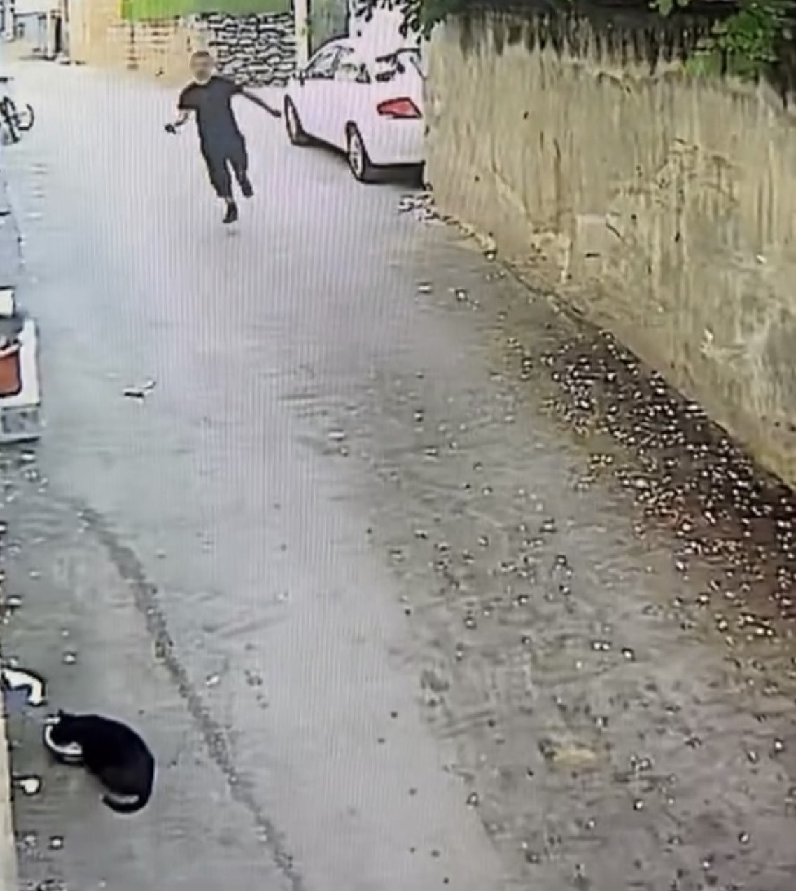 TELEFONU ÇALDI, TAZI GİBİ KOŞTU: O ANLAR KAMERADA