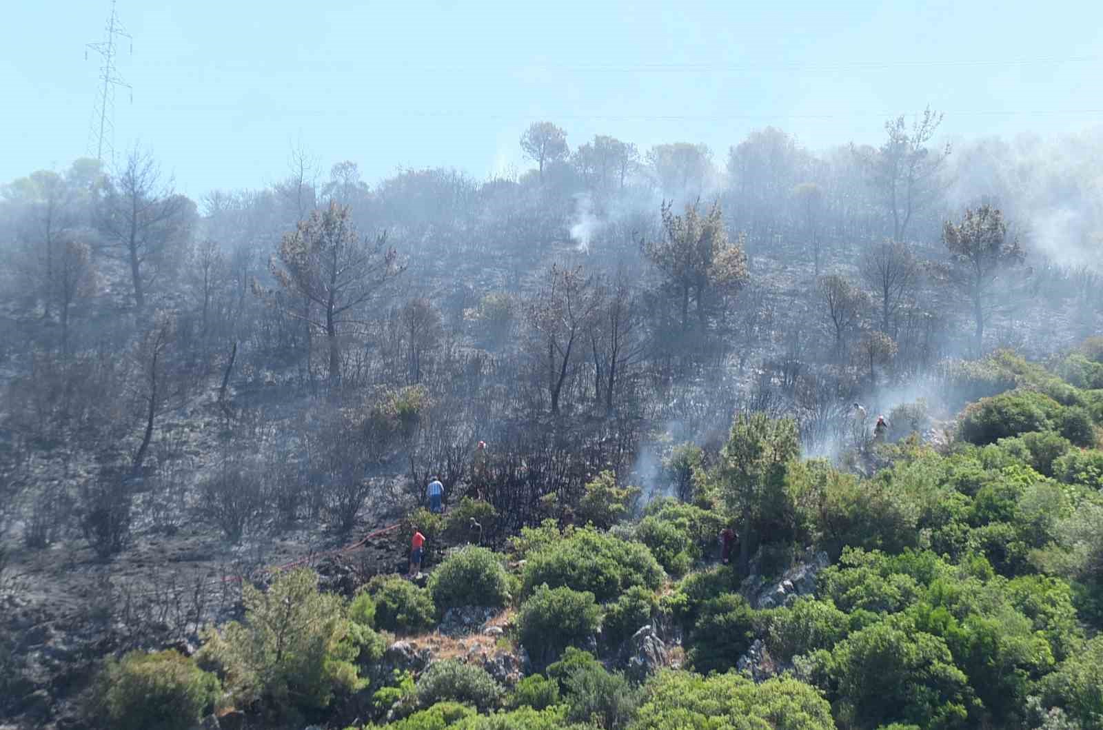 BURHANİYE’DE ÇIKAN ORMAN YANGININDA YAKLAŞIK 10 DEKAR ALAN ZARAR GÖRDÜ