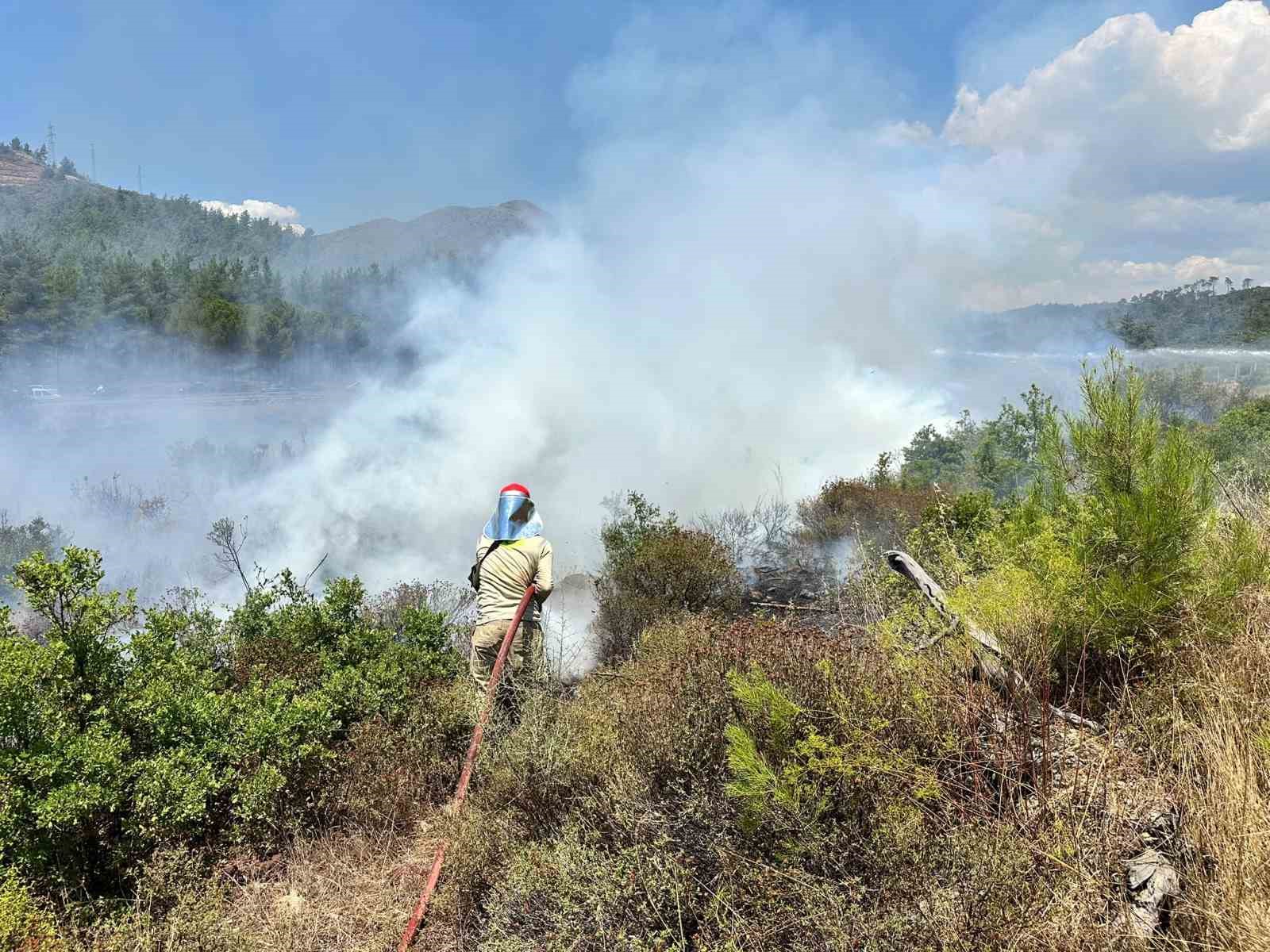 YOL KENARINDA ÇIKAN YANGINI ORMANA SIÇRADI