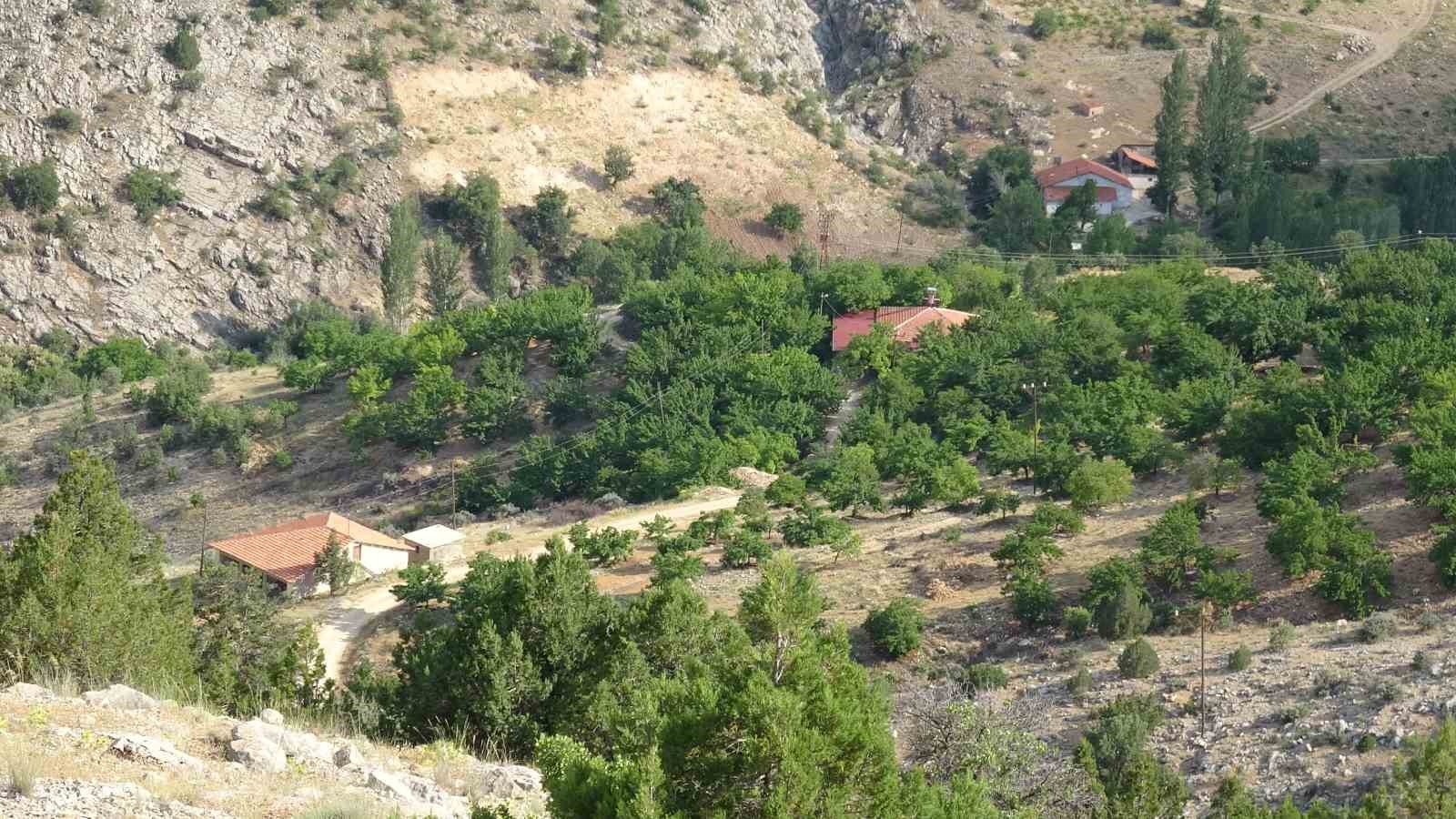 CİNAYETE KURBAN GİDEN AYSEL YILDIRIM İÇİN 1600 RAKIMLI DAĞLIK ALANDA ARAMA