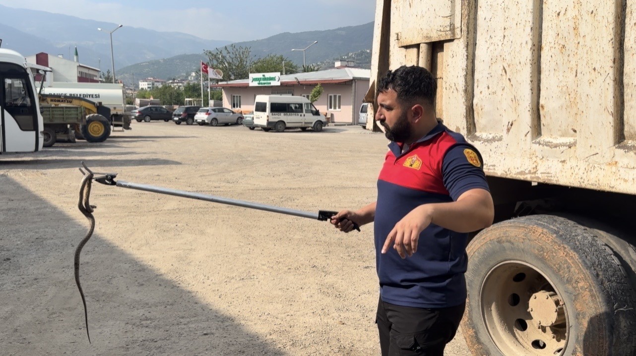 OSMANİYE’DE KAÇAK YOLCU YILAN, ÜÇÜNCÜ ARAÇTA YAKALANDI