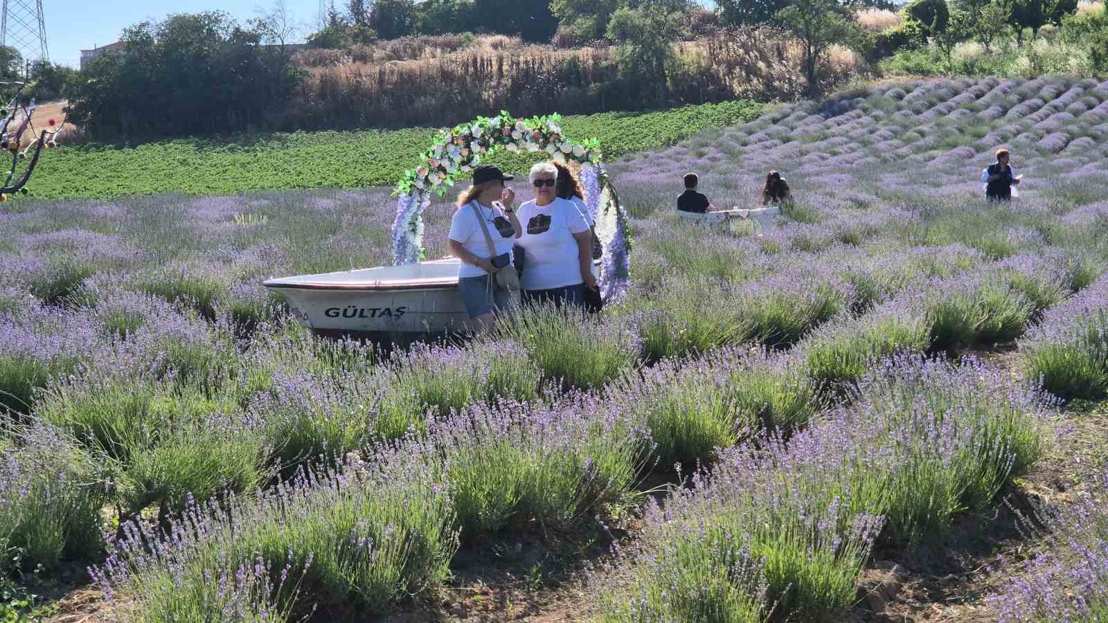 TEKİRDAĞ’DA LAVANTA ŞENLİĞİ BAŞLADI