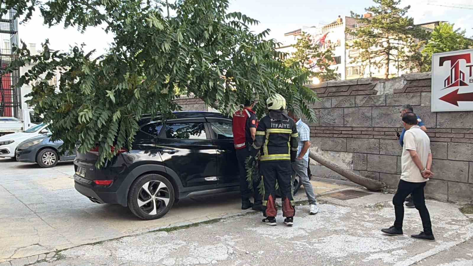 KÖKÜ DUVARIN ALTINDA OLAN AĞAÇ ARACIN ÜZERİNE DEVRİLDİ