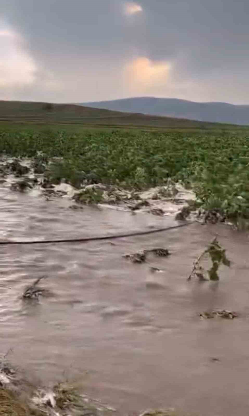 KAYSERİ’DE TARIM ARAZİLERİ SULAR ALTINDA KALDI