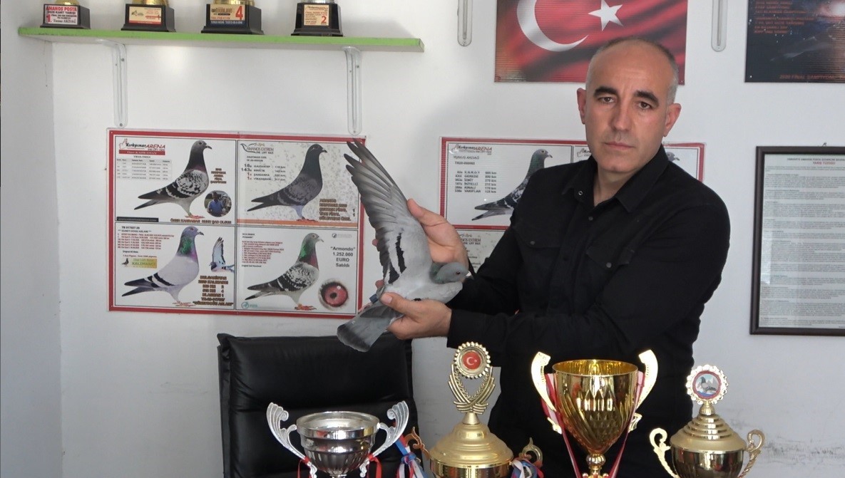 ERMENİSTAN SINIRINDAN BIRAKILAN GÜVERCİN BİN KİLOMETRE YOLU BİR GÜNDE KATEDEREK EVİNE DÖNDÜ