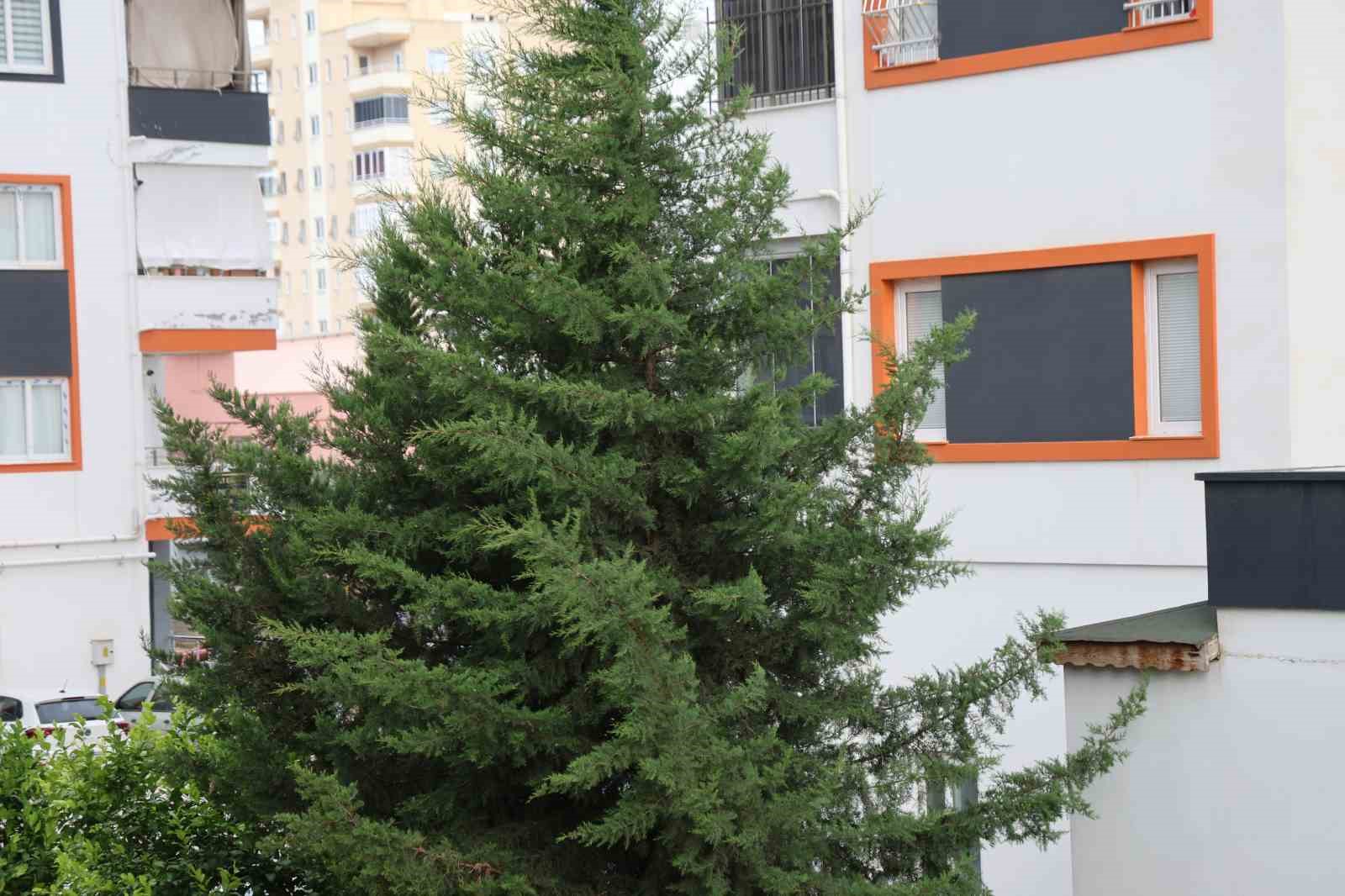ADANA’NIN KUZEY İLÇELERİNDE KUVVETLİ RÜZGAR ETKİLİ OLDU