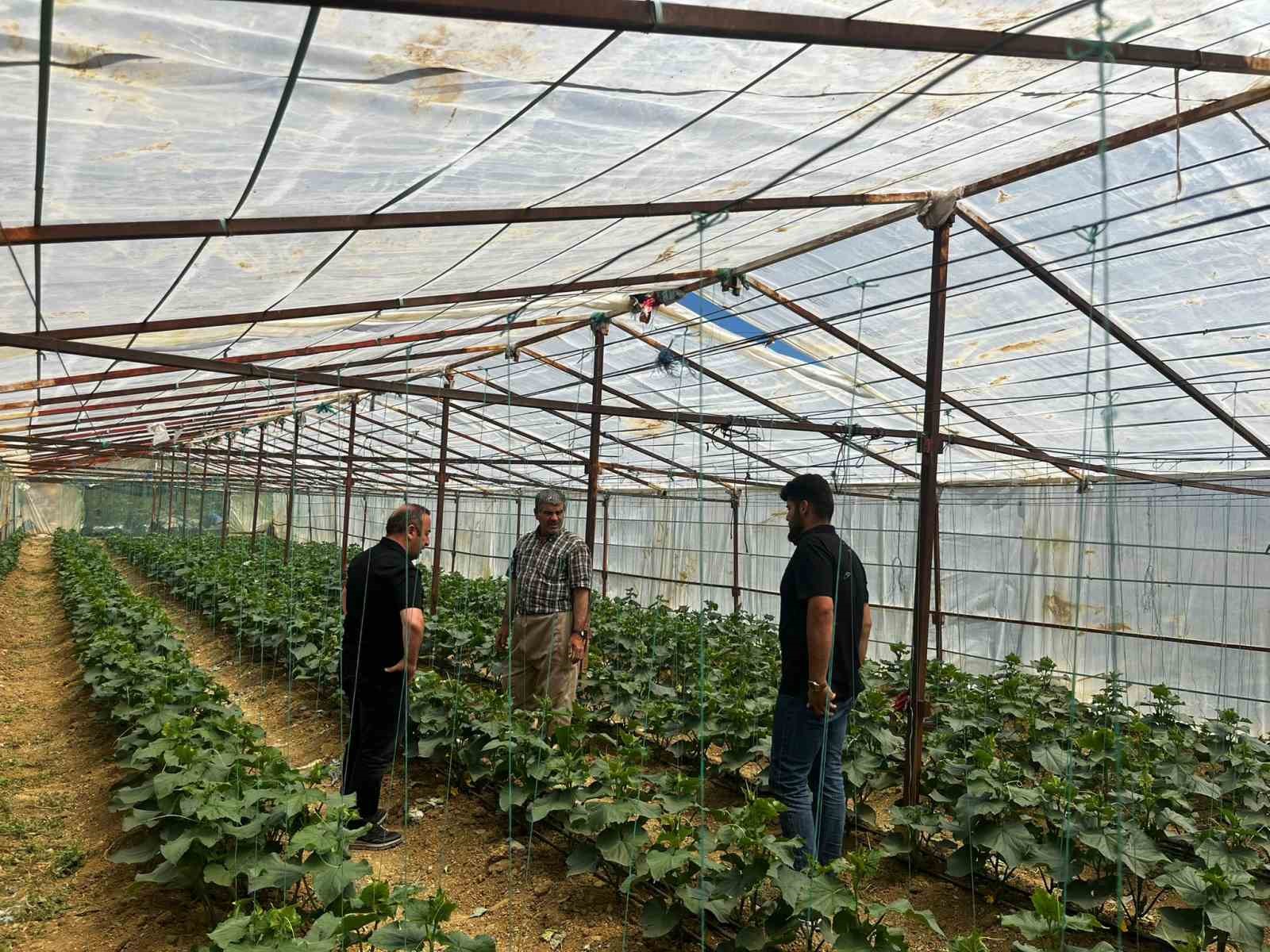 YÜKSEKOVA TARIM VE ORMAN MÜDÜRLÜĞÜ EKİPLERİNDEN ÇİFTÇİLERE SAHA DESTEĞİ
