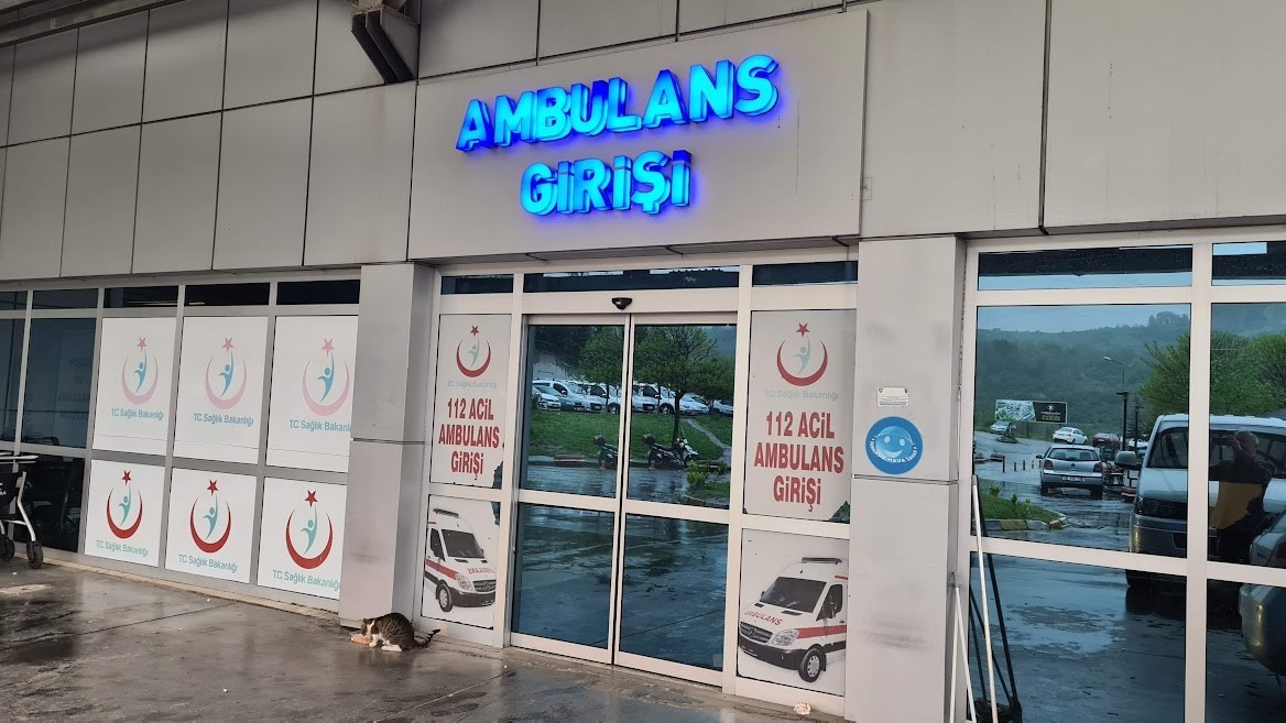 IHLAMUR AĞACINDAN DÜŞEN KADIN YARALANDI