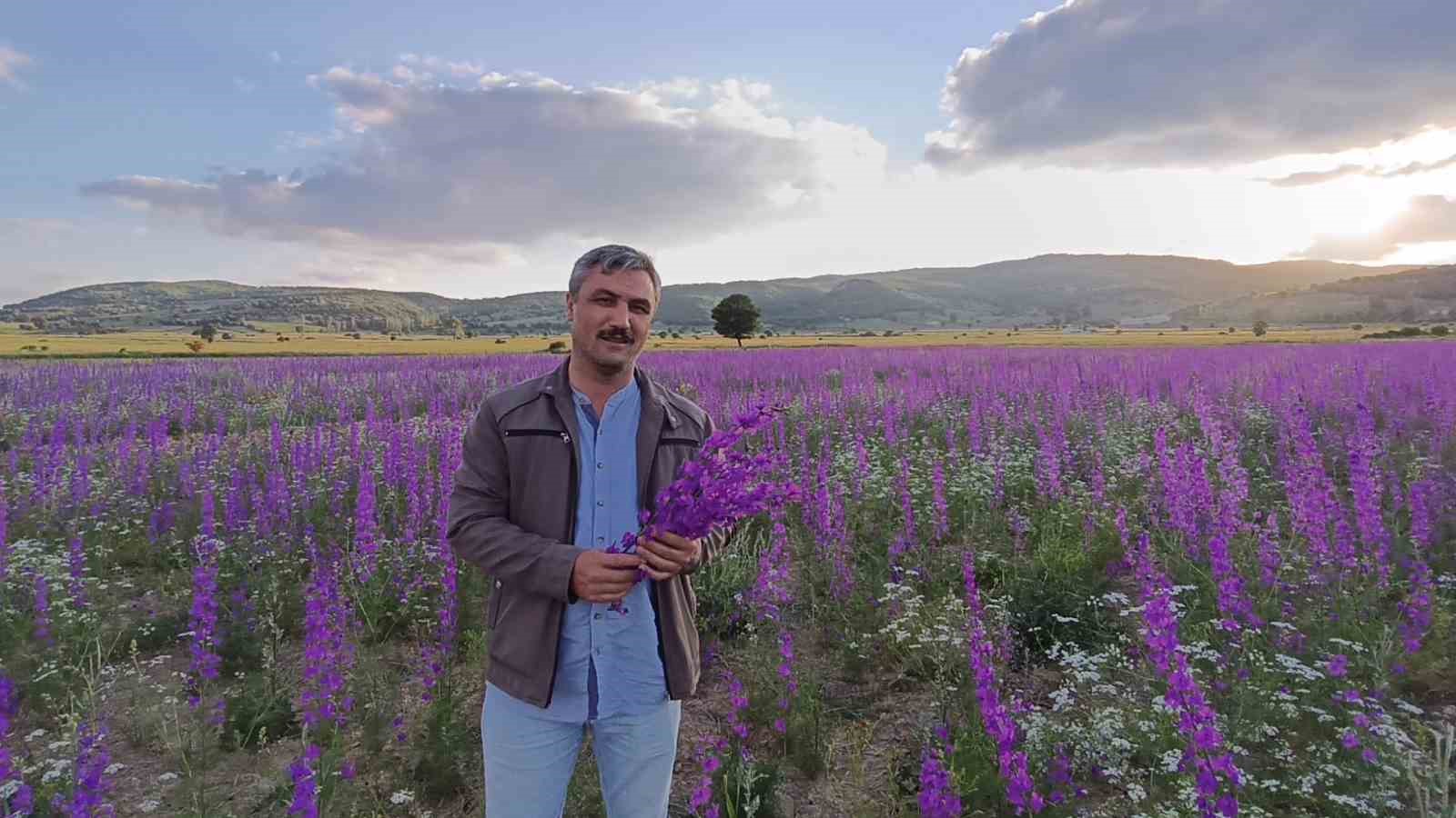 TARLALAR MORA BOYANDI, ÇİÇEKLER RESİM TABLOSUNU ANDIRDI
