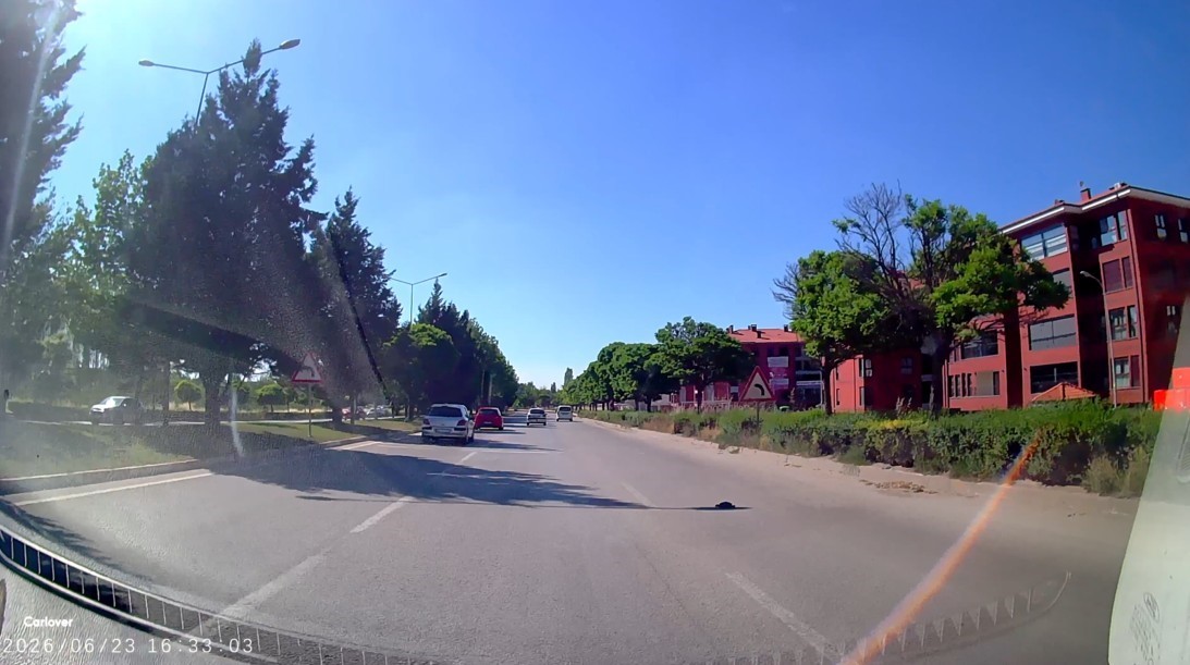 KARA YOLUNDA MAHSUR KALAN KAPLUMBAĞA YARDIM ELİ