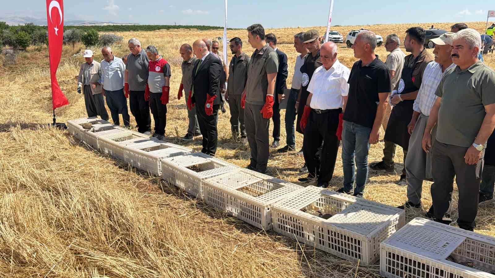 ADIYAMAN DOĞASINA BİN ADET KEKLİK SALINDI