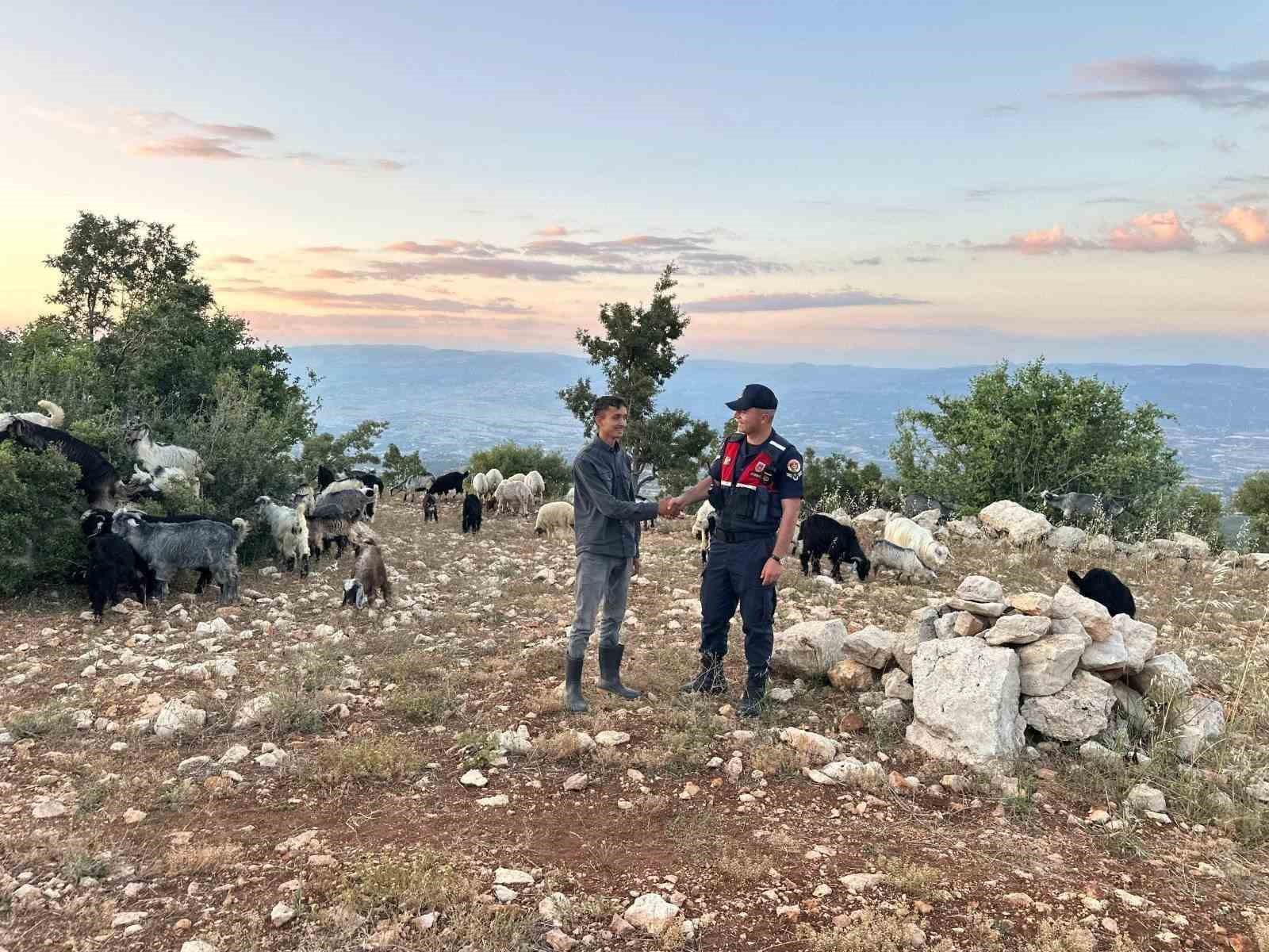 MERSİN’DE KAYIP 40 KÜÇÜKBAŞ DRONLA BULUNDU