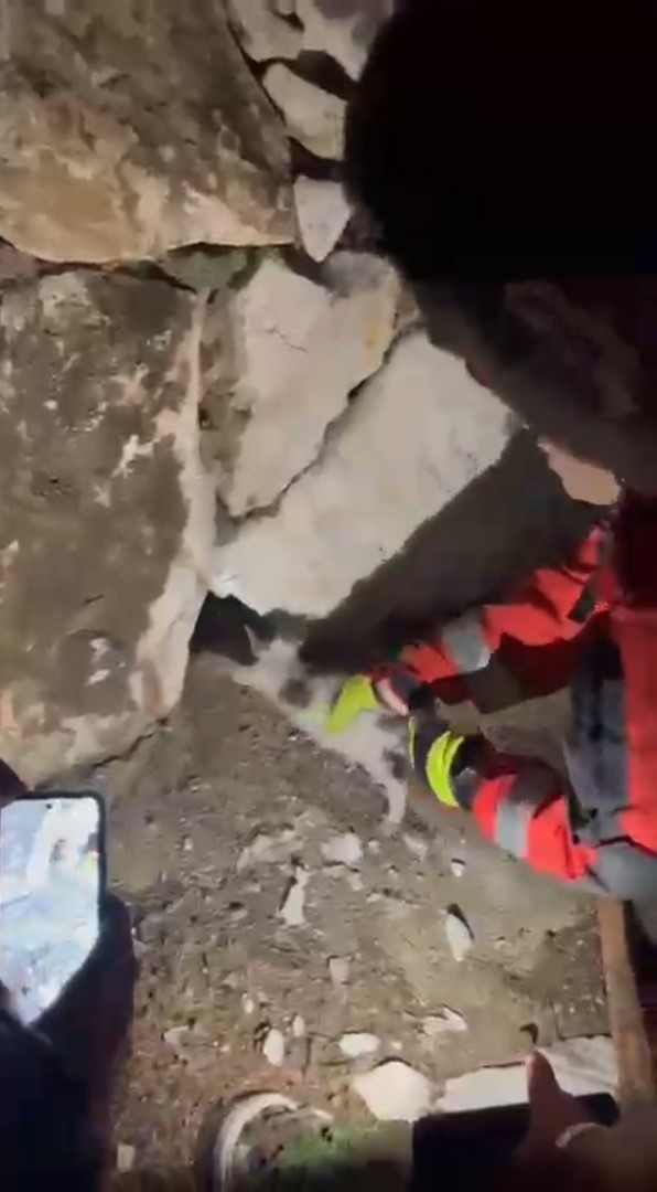 DUVARA SIKIŞAN KEDİYİ İTFAİYE KURTARDI