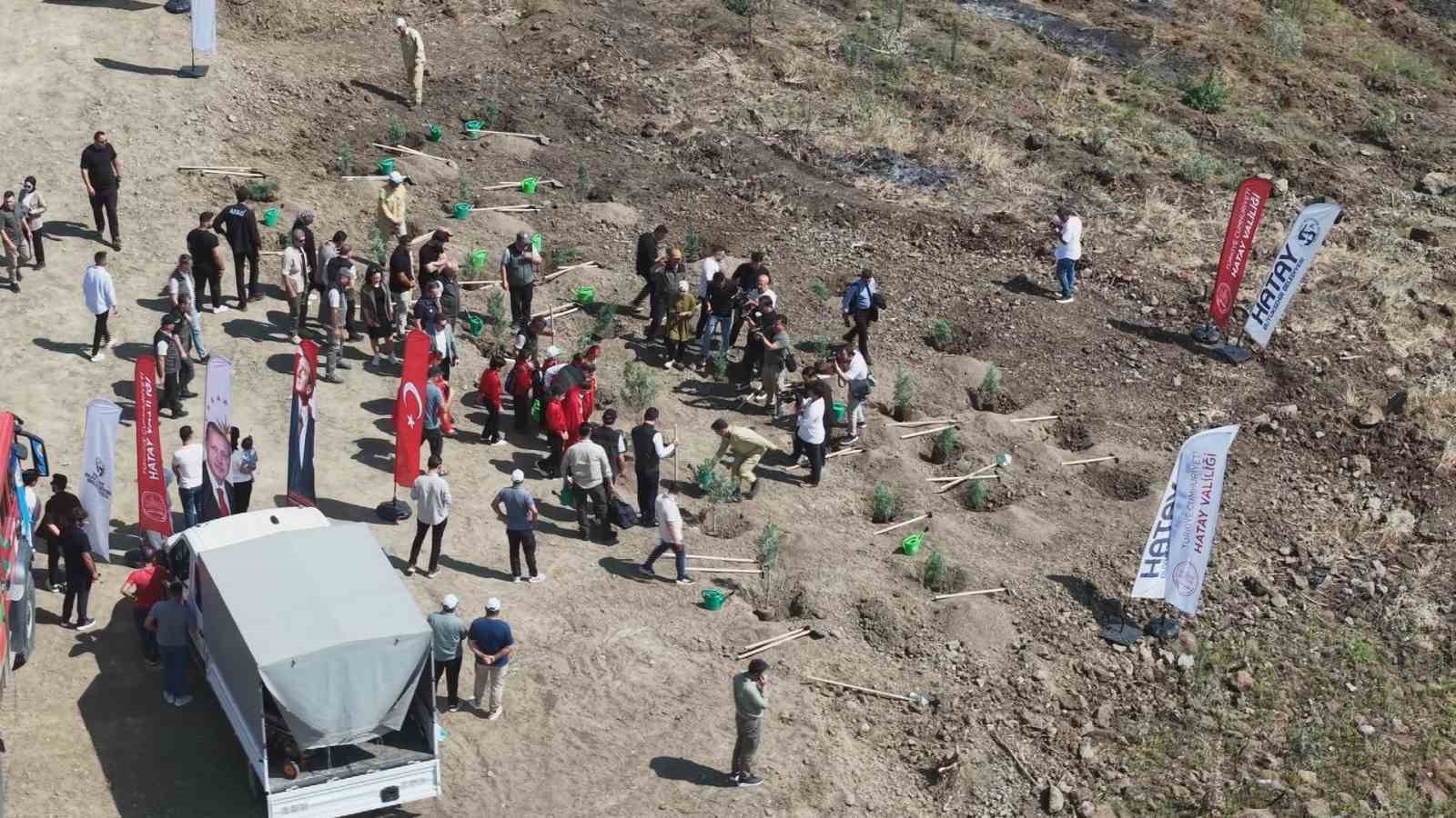 ORMAN YANGININDAN ZARAR GÖREN ALANA FİDAN EKİLDİ