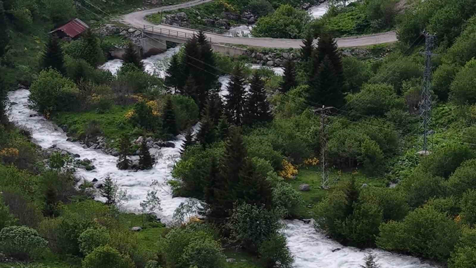 BEYAZ ÖRTÜ KALKTI, RİZE YAYLALARI YEŞİLE BÜRÜNDÜ