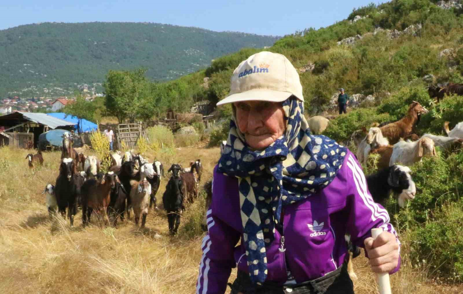 ANTALYA’NIN SÜPER ÇOBANI EMİNE NİNE: 94 YAŞINDA, 90 YILDIR KEÇİLERİYLE DAĞLARDA