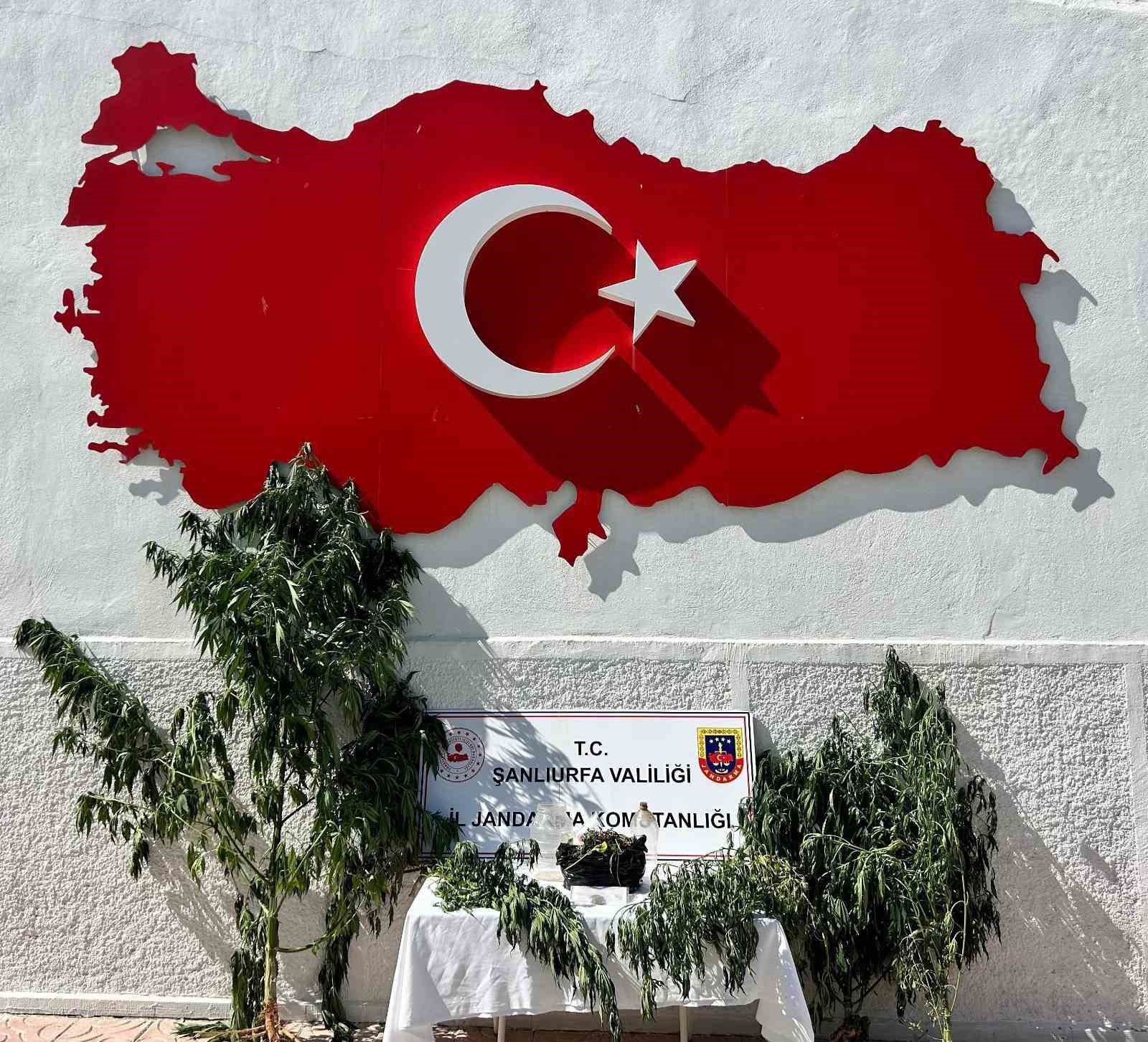 HİLVAN’DA UYUŞTURUCU OPERASYONU: 1 GÖZALTI