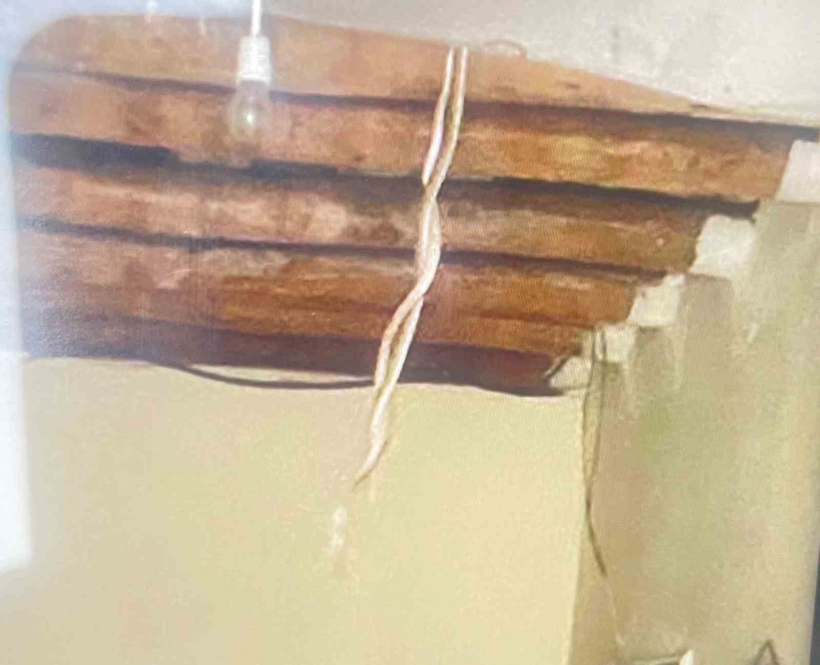 HAKKARİ’DE YILAN PANİĞİ