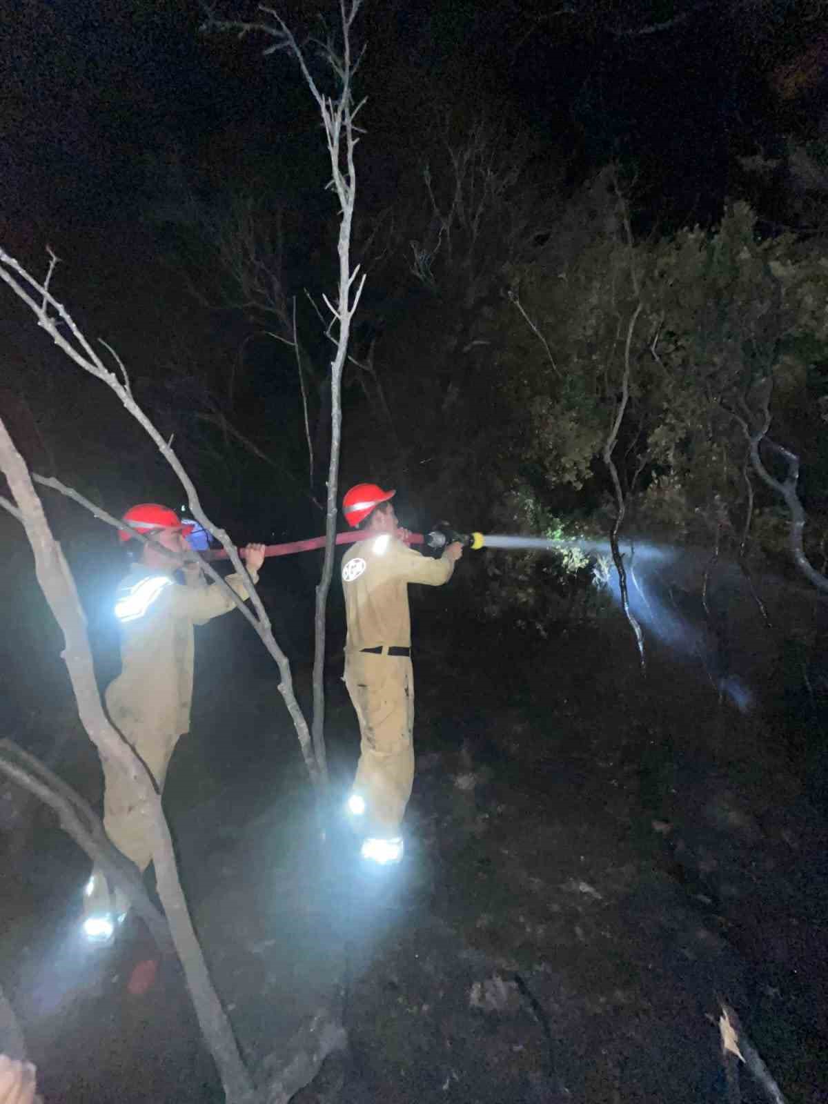 ORMANLIK ALANDAKİ YANGIN BÜYÜMEDEN SÖNDÜRÜLDÜ