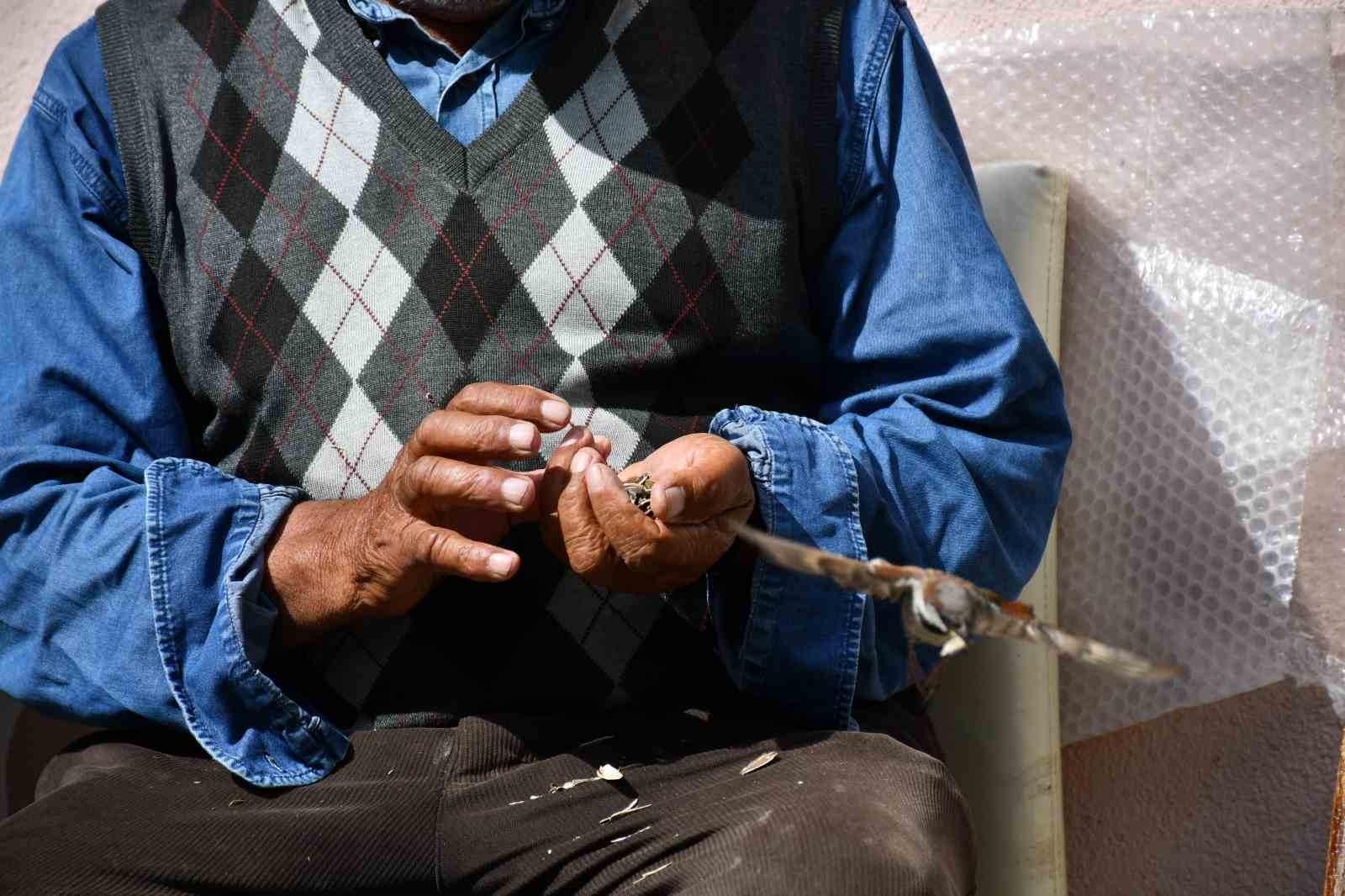 KIRDIĞI ÇEKİRDEKLERLE KUŞLARA SOFRA KURUYOR